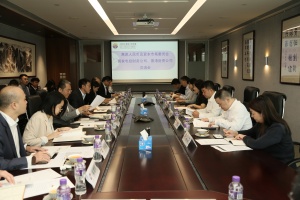協會離岸人民幣及資本市場委員會與國家電投香港財資有限公司進行專項交流